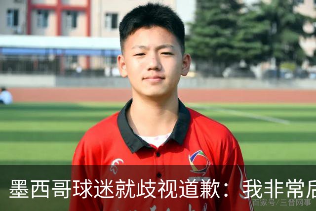 墨西哥球迷就歧视道歉：我非常后悔，已辞去工程师协会职务
